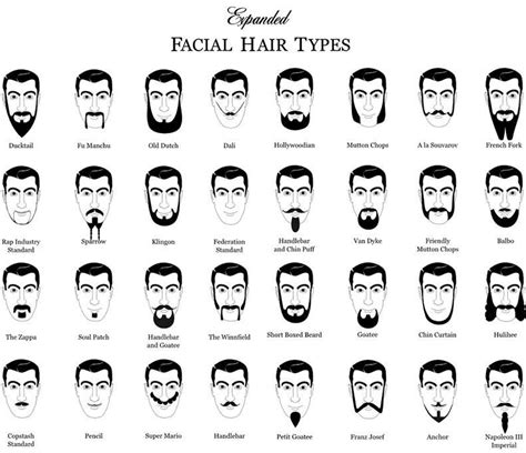 Facial Hair Types Names Of Haircuts Men Hairstyle Names Fade