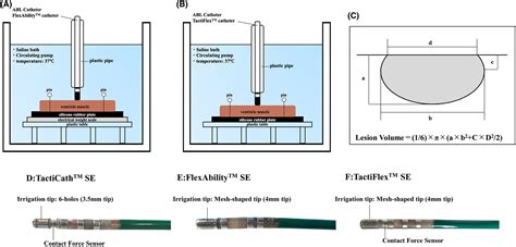 Detailed Investigation Of The Lesion Formation With A Novel Contact