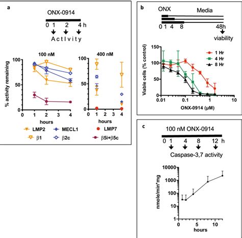 Longer Treatment Increased Proteasome Inhibition And Cytotoxicity A