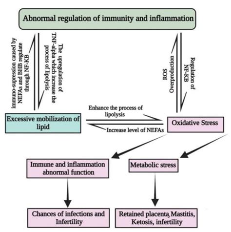 Antioxidants Free Full Text The Antioxidant Properties Of Selenium