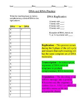 Transcription And Translation Worksheet Answers What is the primary ...