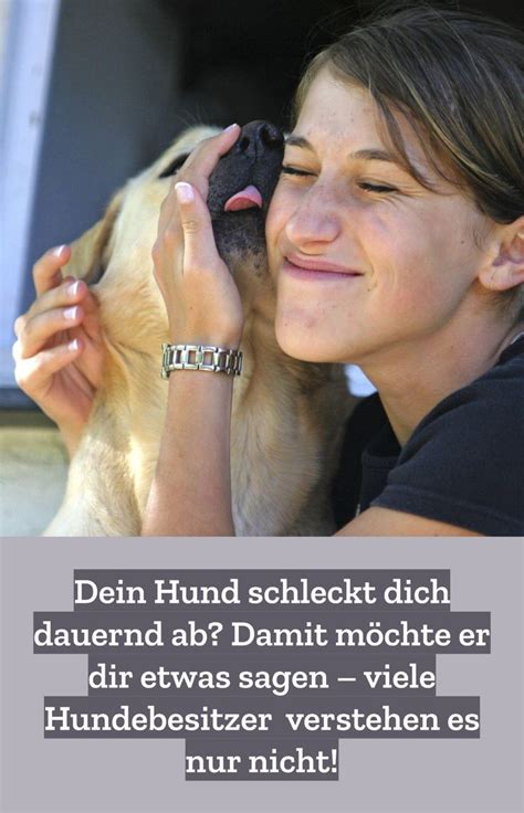 Dein Hund Schleckt Dich Ab Damit M Chte Er Dir Etwas Sagen Hunde