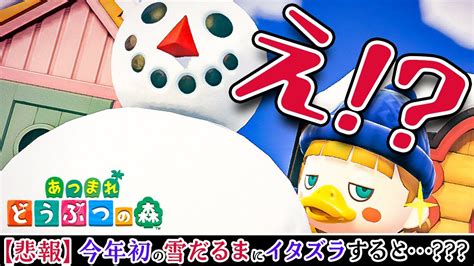 【あつ森】今年初のゆきだるまにイタズラすると？本日開始！雪イベントをチェックしよう⛄️【2022年 雪だるま 雪の結晶 あつまれ