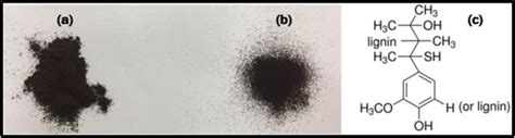 Lignin samples: (a) LIGramb ; (b) LIGref ; (c) LIGref chemical ...