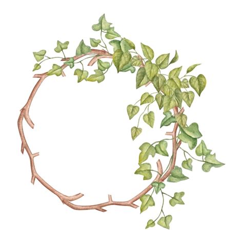 Cadre De Cercle Aquarelle Avec Des Branches De Feuilles Vertes Sauvages