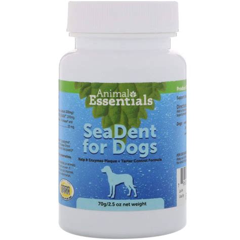 Salivary Mucocele Dog Treatment For Sale (2023 Update) - Almost Home Rescue