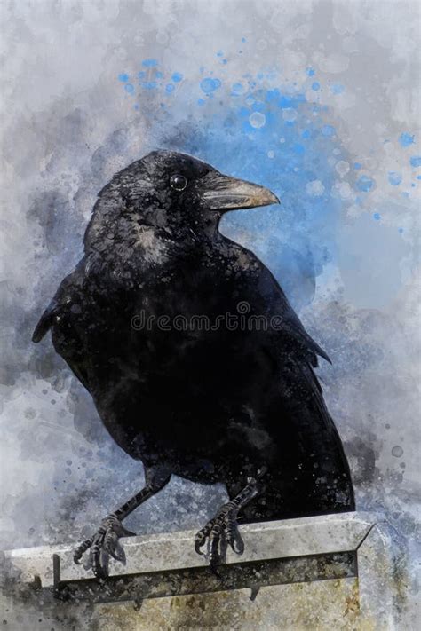 Portrait of a Crow Bird, Watercolor Painting. Bird Illustration Stock ...