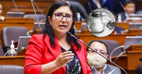 Congreso Katy Ugarte Propone Proyecto De Ley Para Prohibir Los Saleros