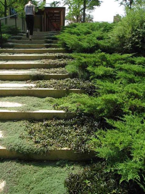 Escalier De Jardin Construire Tape Par Tape Projets Inspirants