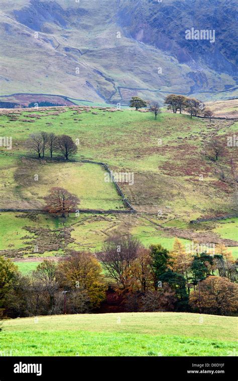 Low Rigg In Autumn From Castrigg Stone Circle Keswick The Lake District