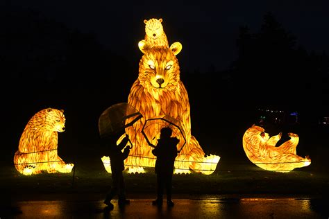 WildLanterns Dazzles at Seattle’s Woodland Park Zoo | ParentMap