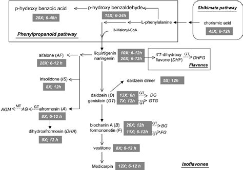 Mapping Of The Extracellular Phenylpropanoid Metabolite Responses To YE