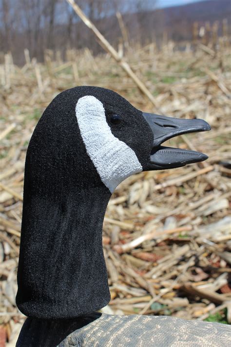 Anser Decoy Canada Goose Hunterpack Decoys - American Made Decoys ...