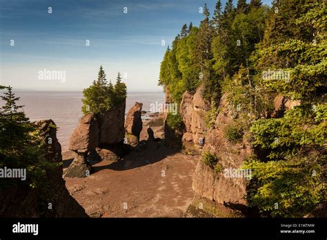 Low Tide At The Hopewell Rocks Provincial Park New Brunswick Canada