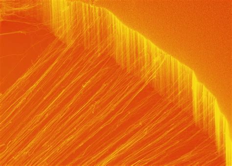 A nanotube material conducts heat in just one direction | MIT