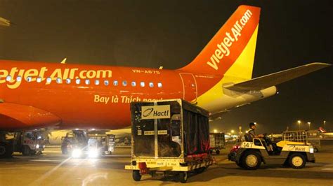 Hongkong Hactl Fertigt Air Cargo Von Vietjet Ab DVZ