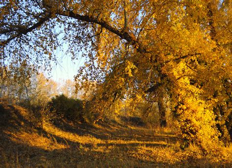 Autumn Landscape Free Stock Photo Public Domain Pictures