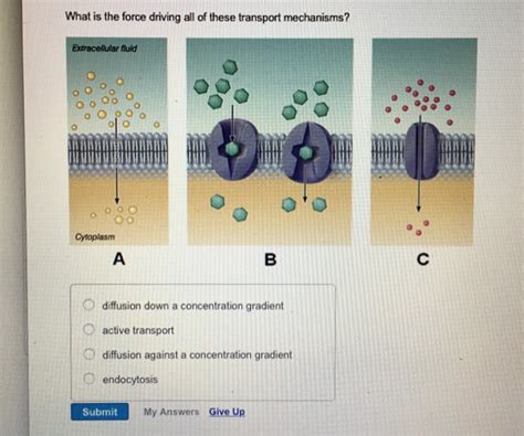 Solved: What Is The Force Driving All Of These Transport M... | Chegg.com