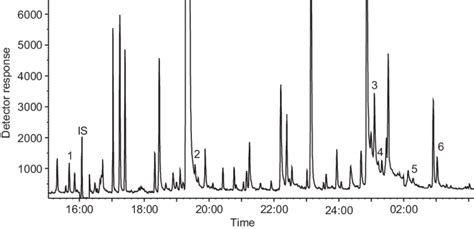 Gc Ms Sim Chromatogram Of A Pils Sample Collected From 1100 To 1300 Download Scientific