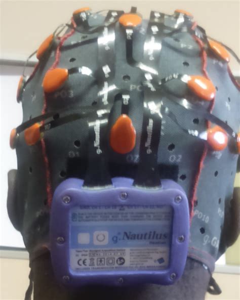 1 Gtec Gnautlius Wireless Eeg Cap Download Scientific Diagram