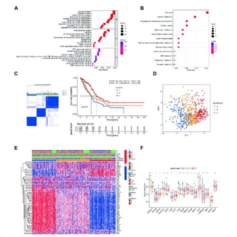 The Landscape Of The Biological Characteristics Of Cuproptosis Gene