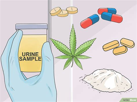 Modi Per Superare Un Test Antidroga Wikihow