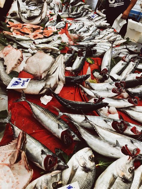 Illegal Fishing Practices | Turtle Island Restoration Network