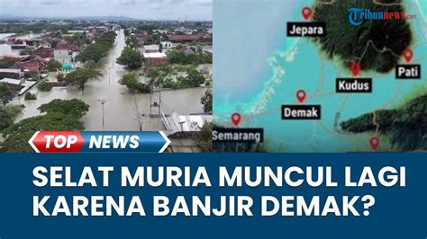 Heboh Selat Muria Disebut Muncul Lagi Karena Banjir Di Demak Brin