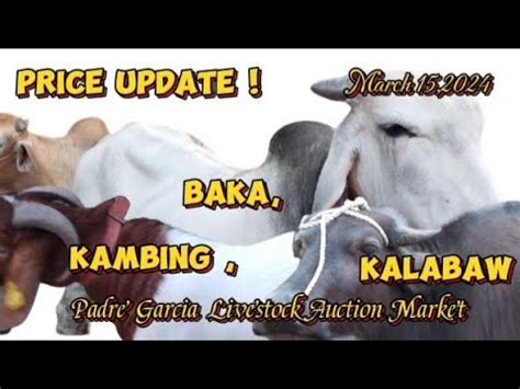 Price Update Ng Kambing Kalabaw At Baka Padre Garcia Batangas March 15