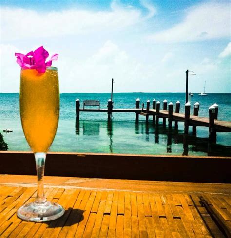 Key Largo Restaurants And Bars Key Largo Seafood Bars Nightlife