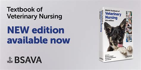 Bsava Textbook Of Veterinary Nursing Th Edition Bsava