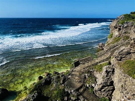 日本一のガジュマル 観光スポット 【公式】沖永良部島観光サイト「おきのえらぶ島の旅」