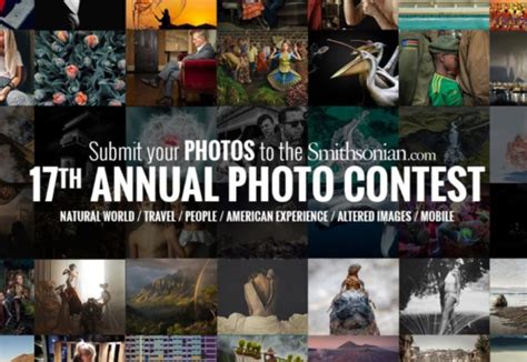 Smithsonian Photo Contest 2019 Photo Contest Insider