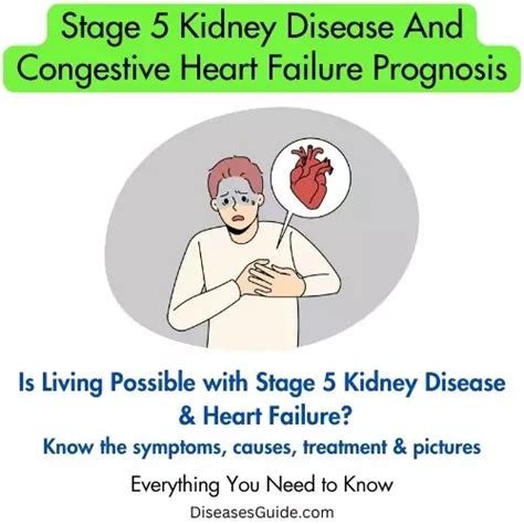 stage 5 kidney disease symptoms - Diseases Guide