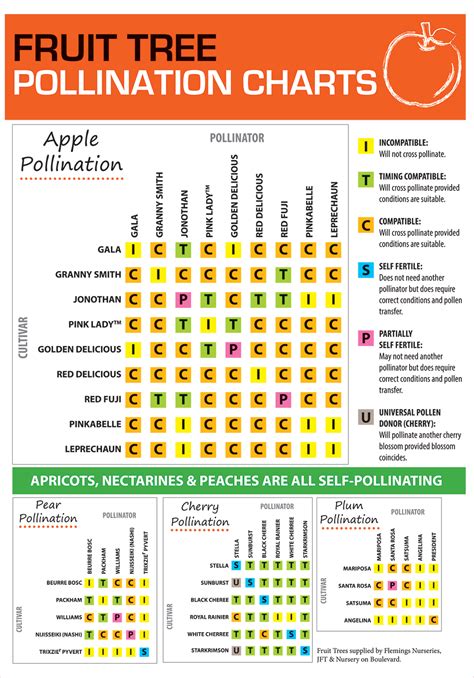 Pear Tree Pollination Chart A Visual Reference Of Charts Chart Master