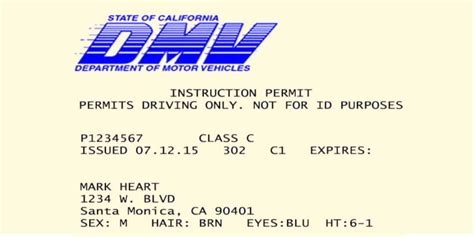 What Does A California Driving Permit Look Like