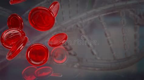 The Blood Cell For Medical Or Education Concept D Rendering Stock