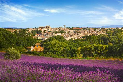 Visit Provence Lavender Fields | Lavender Fields South of France