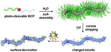 Naked Micelles Well Defined Polymer Nanoparticles From Photo Cleavable