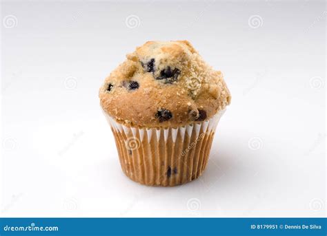 Blueberry Muffin Ii Stock Image 29603161