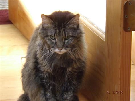 Recent Obituaries and Tributes in Sussex County, New Jersey 13