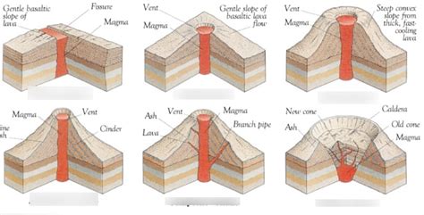 shapes of volcano Diagram | Quizlet