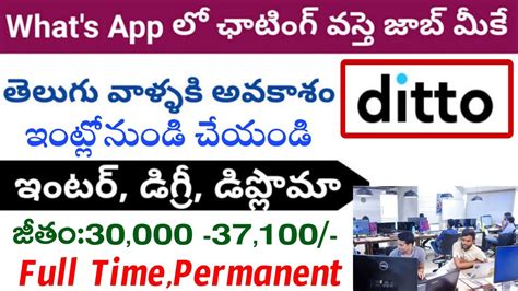 Ditto Company Jobs Recruitment Telugu Ditto Company Jobs Telugu