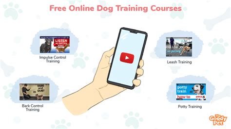 12 FREE Online Dog Training Courses [2024] - The Goody Pet