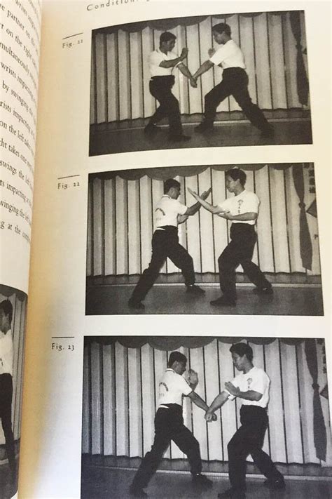 Cheong Cheng Leong Donn F Draeger Phoenix Eye Fist A Shaolin Fig