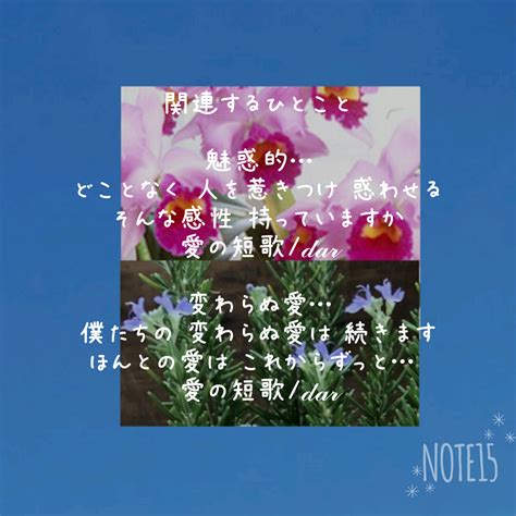 今日の花たち2023113 花言葉と関連するひとこと カトレア 優美な貴婦人･成熟した大人の魅力･魔力･魅惑的 ローズマリー あなたは私をよみがえらせる･変わらぬ愛･追憶｜だー