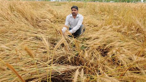 Unseasonal Rains And Their Impact