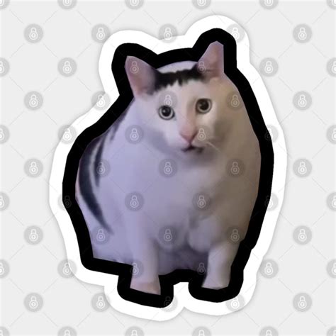 Huh Cat Meme - Huh Cat Meme - Sticker | TeePublic