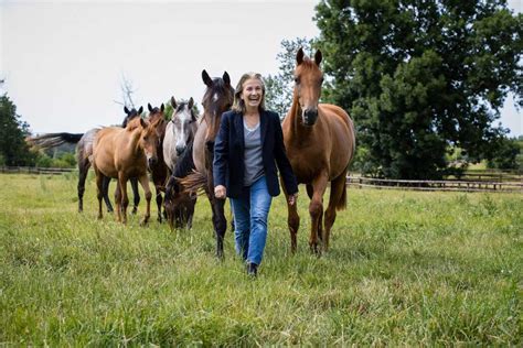 Haras Des Coudrettes Du Haut Niveau Aux Prairies Calvadosiennes