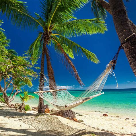 A Hammock Between Palm Trees On A Sandy Beach Caribbean Location